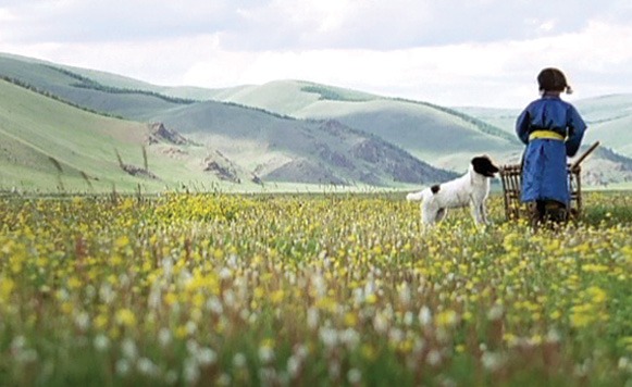 El perro – Die Hoehle des gelben Hundes, dirigida por Byambasuren Davaa – Mongolia (Por Gastón Aliaga)