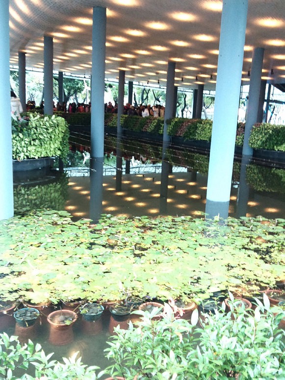 Foto 4 Ecoark