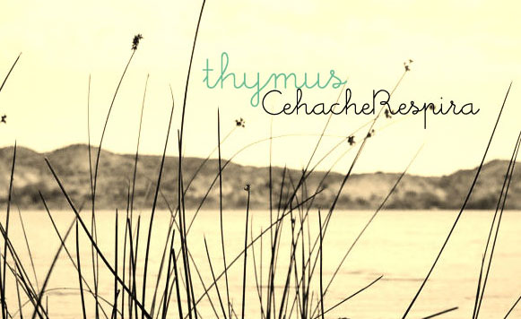 CeHacheRespira-Thymus (name your price)