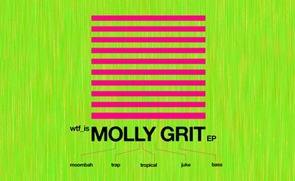 Va-WTF is Molly Grit EP (Free DL!)
